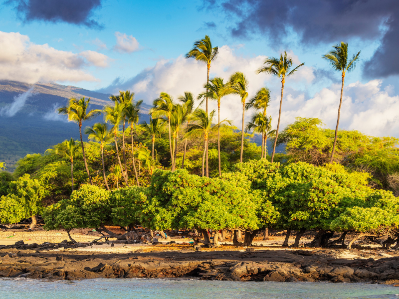 Hawaii: Best Of — 15